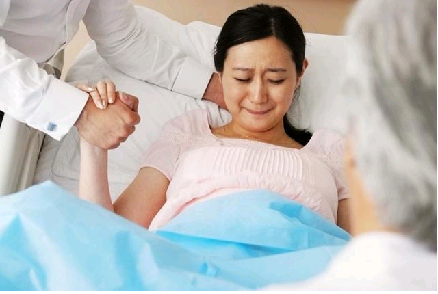 上海世纪助孕[供卵费用多少],试管婴儿胚胎移植步骤