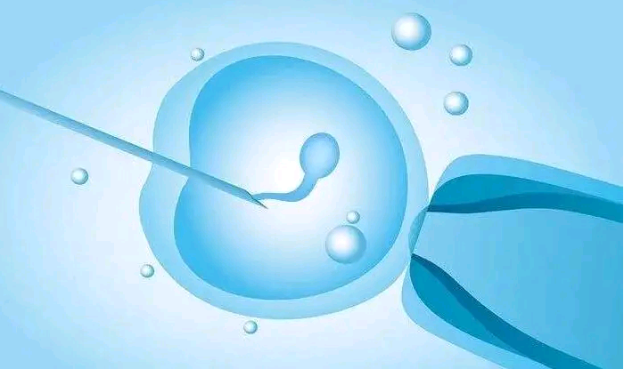 广州代生代妈介绍所 2023
广州第三代试管婴儿的医院排名 ‘孕囊大小看男女’