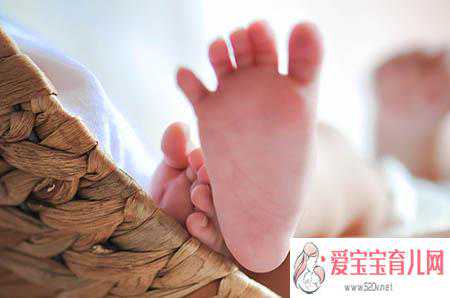 广州传承生殖医学科技开发有限公司[代孕女子那里找],排卵期吃什么食物助孕