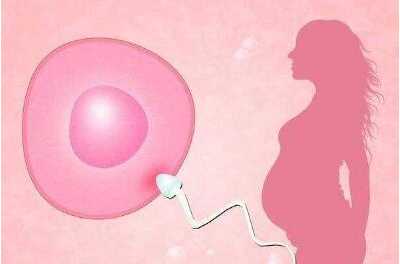 临汾借卵生子对子宫的要求_临汾52岁试管借卵成功率_试管婴儿第二次促排，雌
