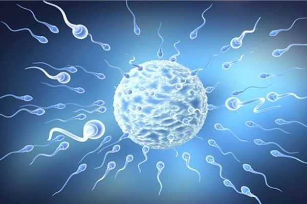 宿迁49岁供卵受孕成功率_人工受精和试管婴儿的优缺点及比较