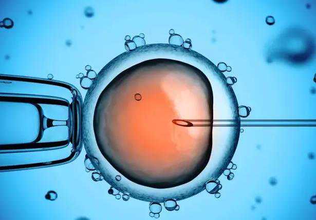 第六天优质的5aa囊胚一定会生男孩吗？